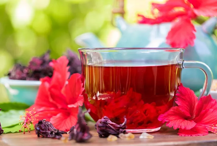 Hibiskus Çayı
